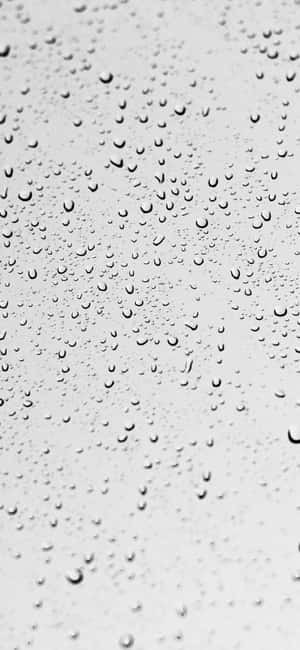 1290x2796 — Fairphone Fundal