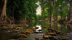 imagini 1366X768 — 1366x768 Fundal