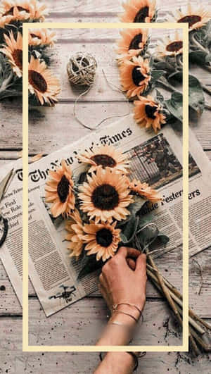 Fotografii estetice pentru iPhone — Estetic pentru iPhone Fundal