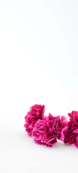 1080x2400 — Tecno Pova Curve Fundal