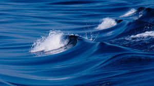 Valuri majestuoase ale oceanului care inundă malul — Valuri oceanice Fundal