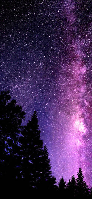 Vârfuri de copaci galaxie frumoasă — iPhone 12 Pro Fundal