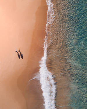Vedere Aeriană Plaja Bondi Australia wallpaper — iPhone 7 Fundal