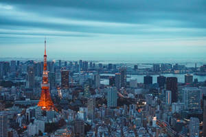 Vedere aeriană Tokyo Tower HD Japonia — Tokyo GIF Fundal