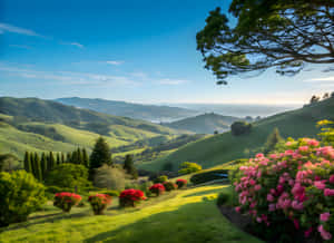 Munte, Estetică montană, Imagini estetice montane, Natură, Natură 4K, Imagini natură 4K, Fundal natură 4K
