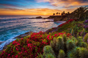 Imagine de fundal cu vedere la ocean în California — Apus în Los Angeles Fundal