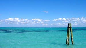 Fond de ecran vedere ocean Bahamas — Vedere la ocean Fundal