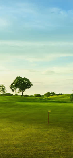 iPhonе X Tеrеn dе Golf Fundal — POCO M8 Pro Fundal