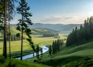 Natură,Natură 4k,Imagini Natură 4k,Imagini Frumusețe Naturală,Natural,Imagini Râu,Vedere Râu,Munte,Fundal Munte