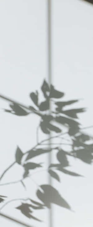 1080x2636 — Z Flip 5 Fundal