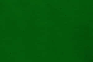 Fond de ecran verde închis simplu — Estetică verde GIF Fundal