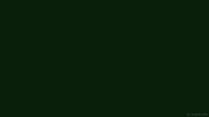 Verde închis simplu — Estetică verde GIF Fundal