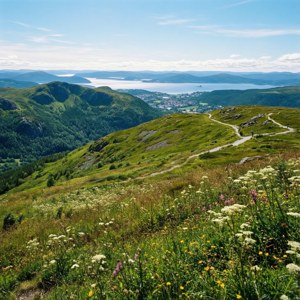 Vibrantă vedere de pe colina Tønsberg cu flori sălbatici și fiord — Pixel Watch 5 Fundal