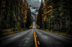 Fond de ecran Washington State Route 410 — Amurg Fundal