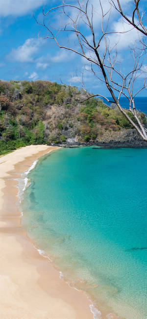 Zona costală Turks and Caicos wallpaper — ROG Phone 9 Fundal