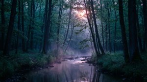 O pădure întunecată în zori, cu ceață și un pârâu reflectant în nuanțe reci. — Pădure întunecată Fundal